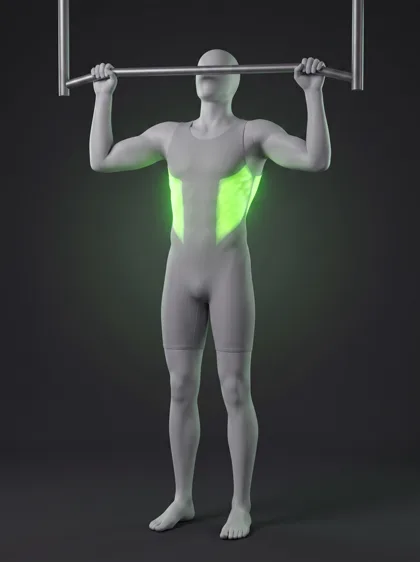 Neutral-Grip Chin-Up