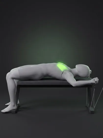 Bench Resistance Band Flye