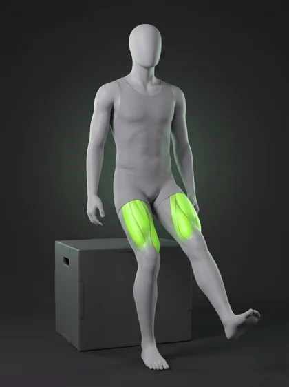Pistol Box Squat