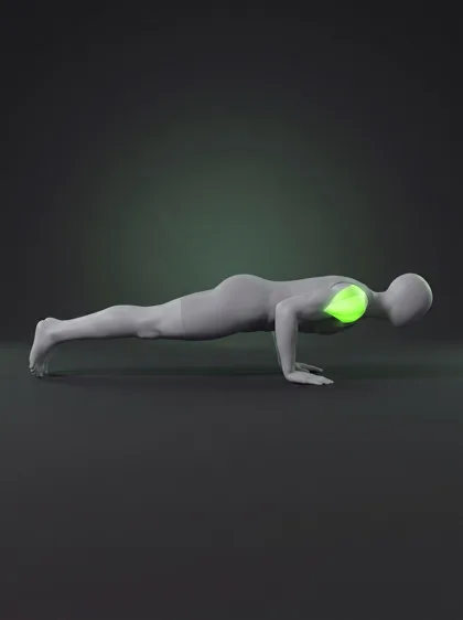 Planche Push-up