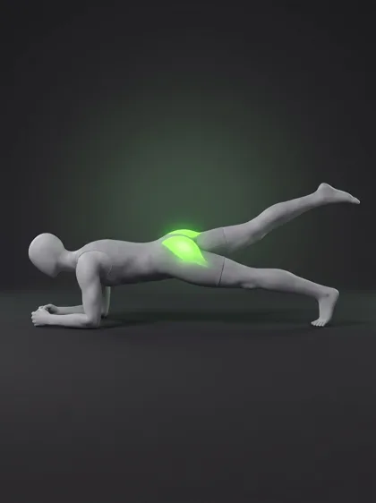 Plank Leg Lift