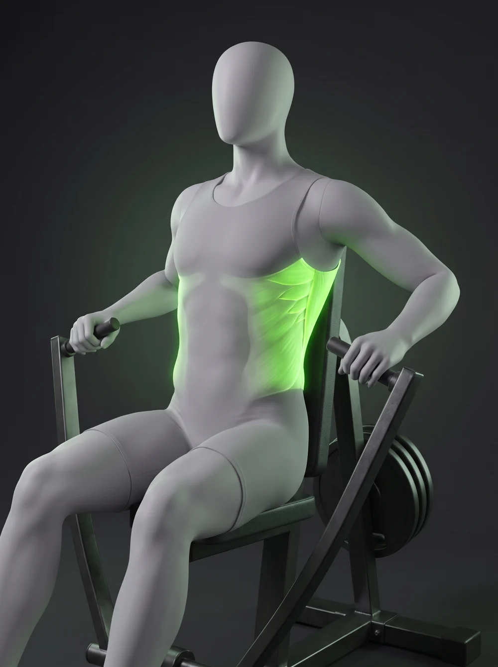 Plate-Loaded Chest-Supported Row