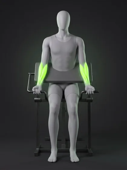 Plate-Loaded Wrist Machine Curl