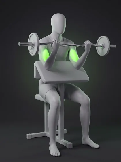 Preacher Curl