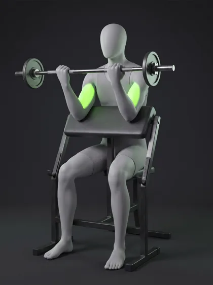Barbell Preacher Curl