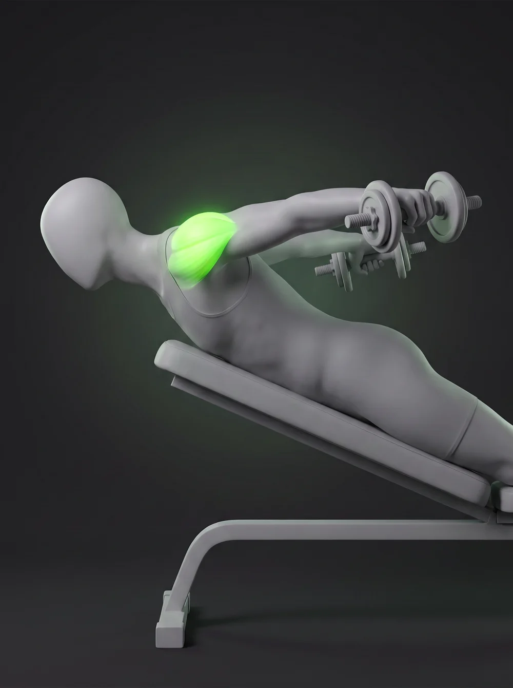 Prone Dumbbell Reverse Fly