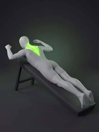 Prone W-Raise
