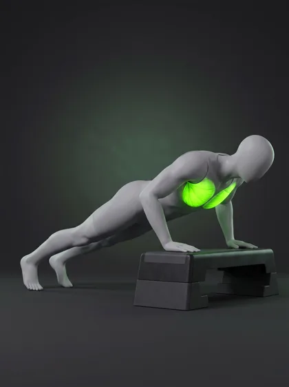 Incline Push-Up (bench/step)