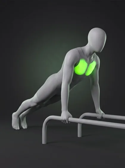 Parallette Push-Up