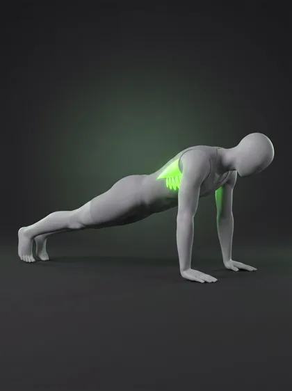 Push-Up Plus