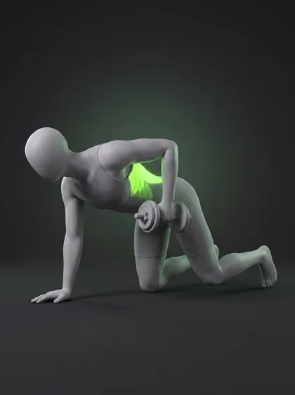 Quadruped Dumbbell Row