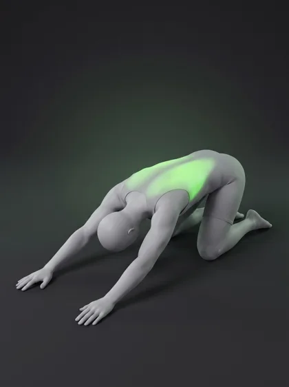 Quadruped Rockback