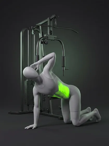 Quadruped Thoracic Rotation