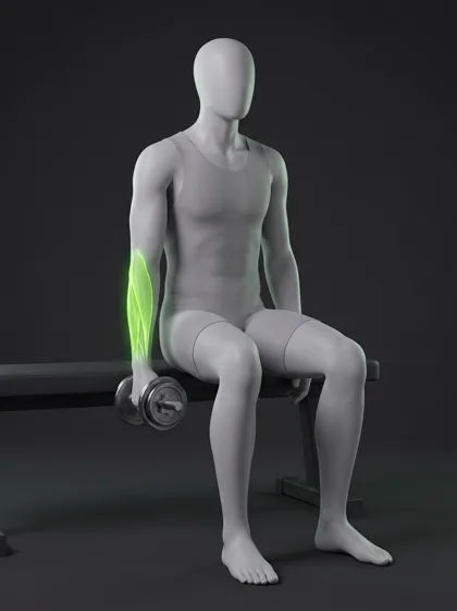 Dumbbell Radial Deviation