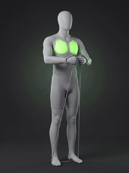 Standing Banded Chest Fly