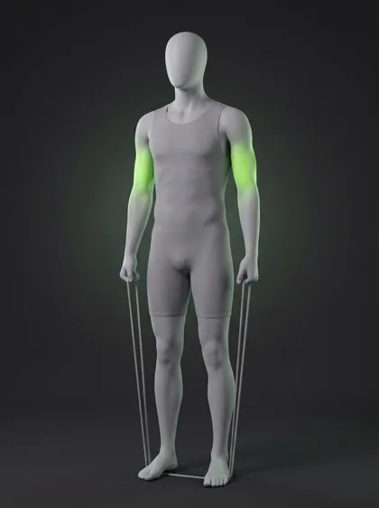 Resistance Band Triceps Extension