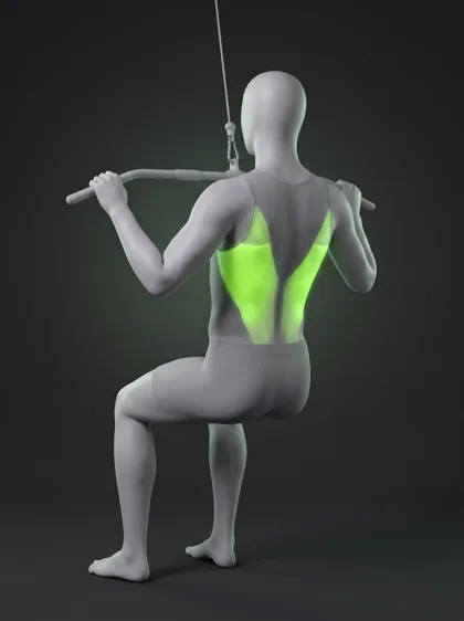 Reverse-Grip Lat Pulldown