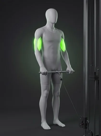 Reverse-Grip Cable Triceps Pushdown