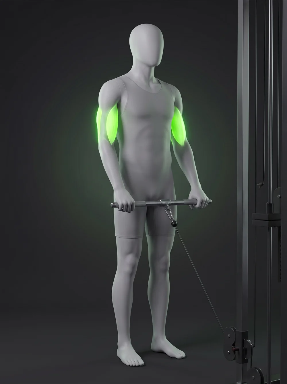 Reverse-Grip Cable Triceps Pushdown