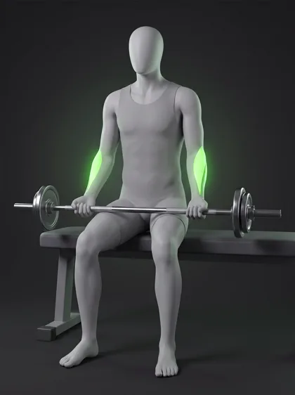 Barbell Reverse Wrist Curl