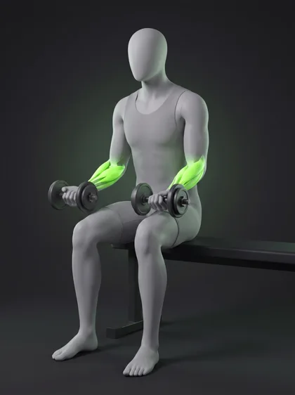 Palms-Down Wrist Curl