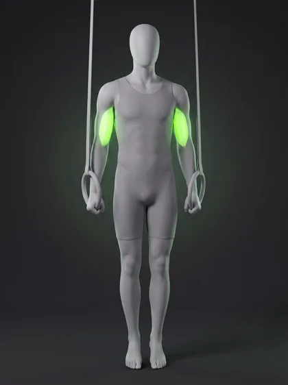 Ring Support Hold