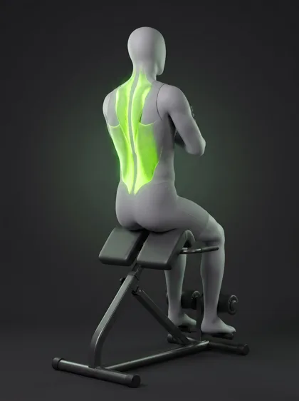 Roman Chair Back Extension