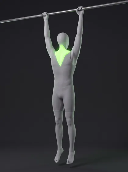 Scapular Pull-Up