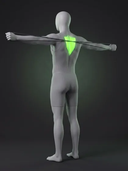 Band Scapular Retraction
