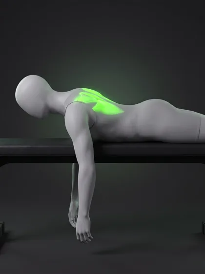 Prone Bench Scapular Retraction