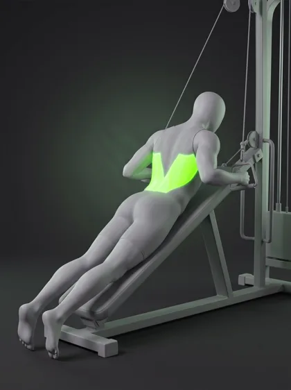Chest-Supported Row Machine