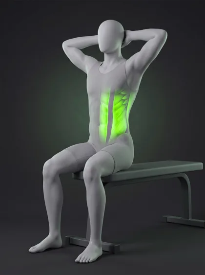 Seated Back Extension