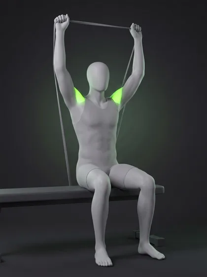 Seated Band Overhead Press