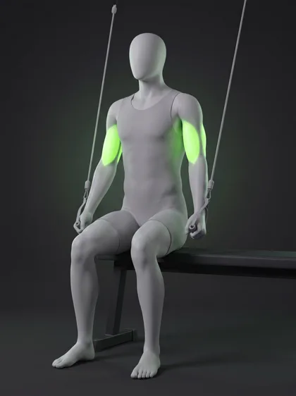 Seated Band Triceps Pushdown