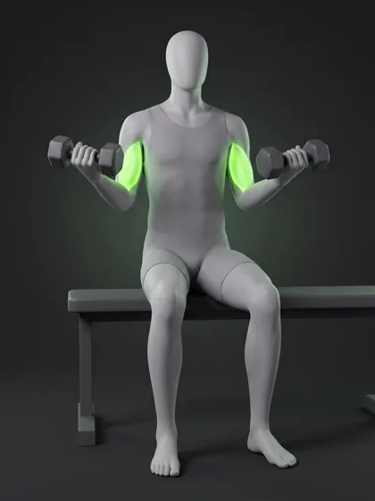 Seated Biceps Curl
