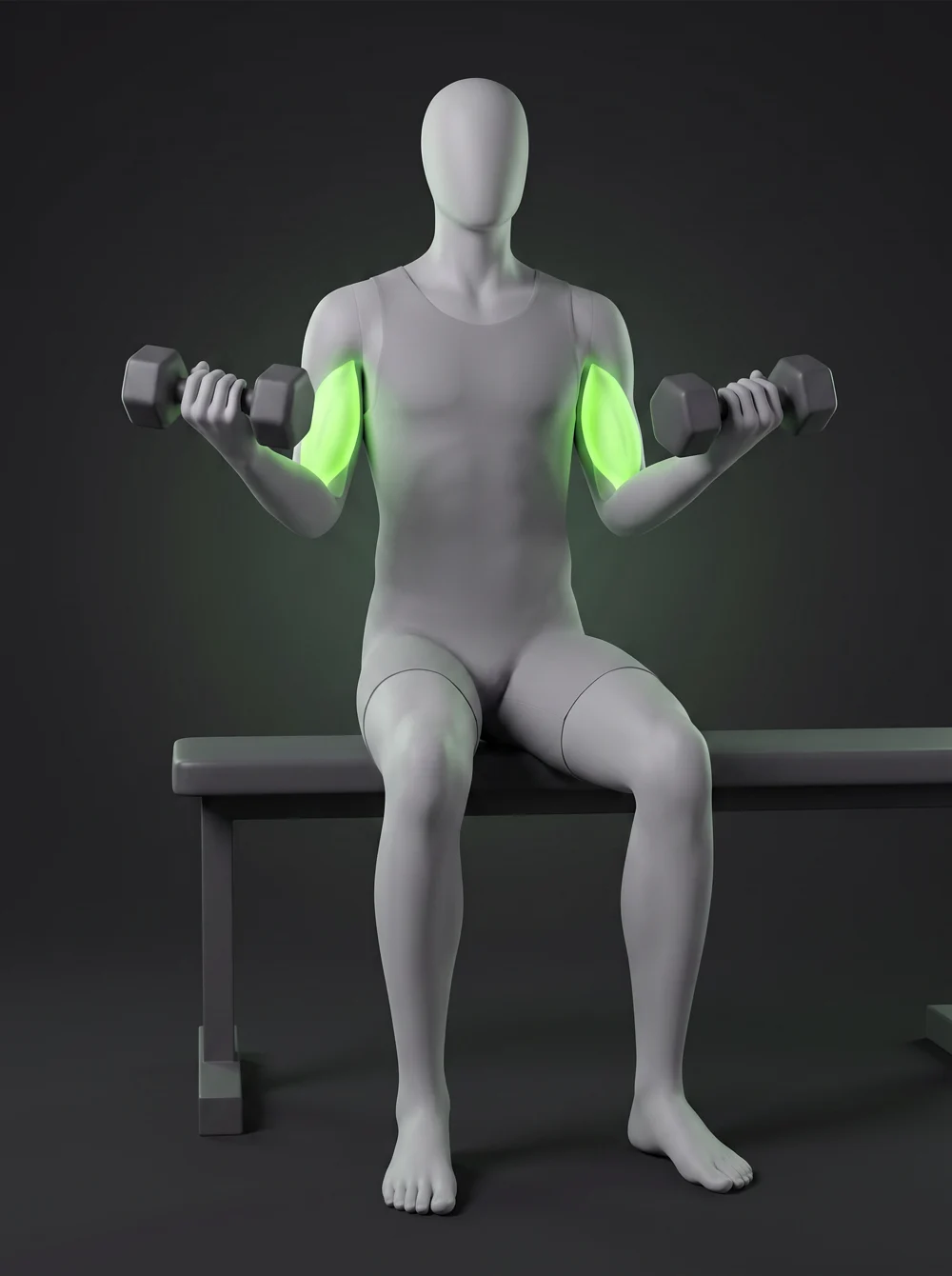 Seated Biceps Curl