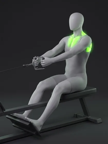 Seated Cable Row