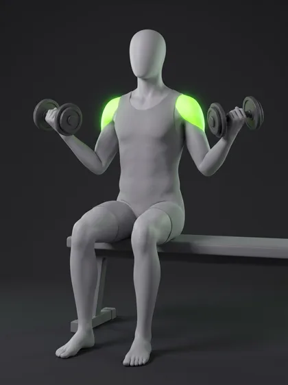 Seated Dumbbell Scaption