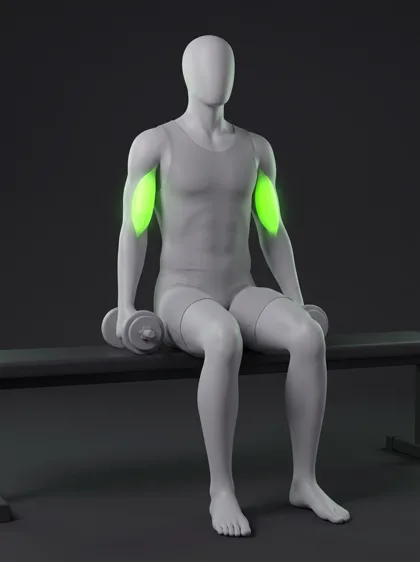Seated Dumbbell Curl