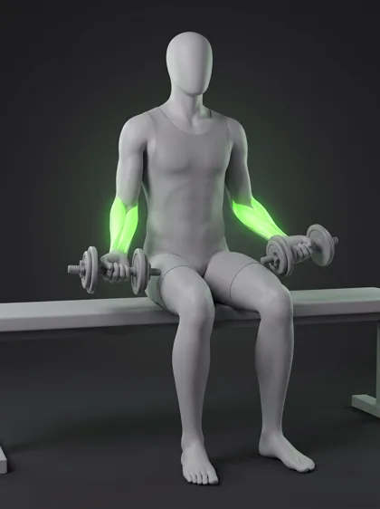Seated Dumbbell Reverse Wrist Curl