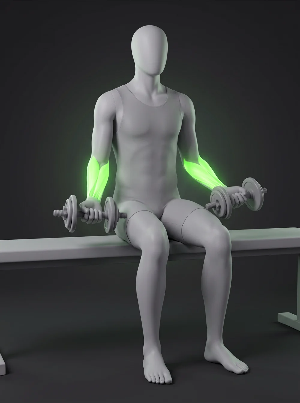 Seated Dumbbell Reverse Wrist Curl