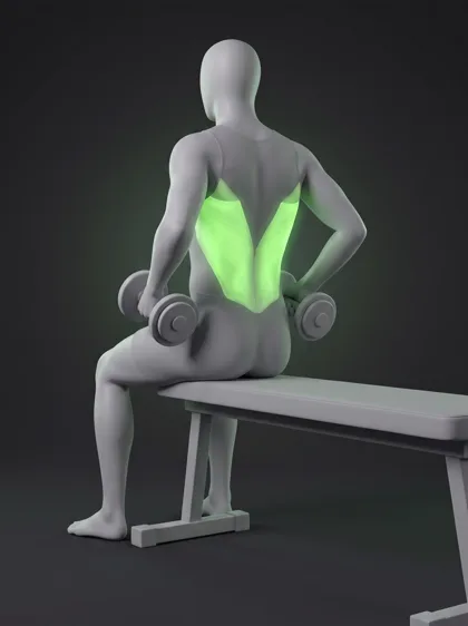 Seated Dumbbell Row