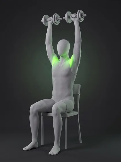 Seated Dumbbell Shoulder Press