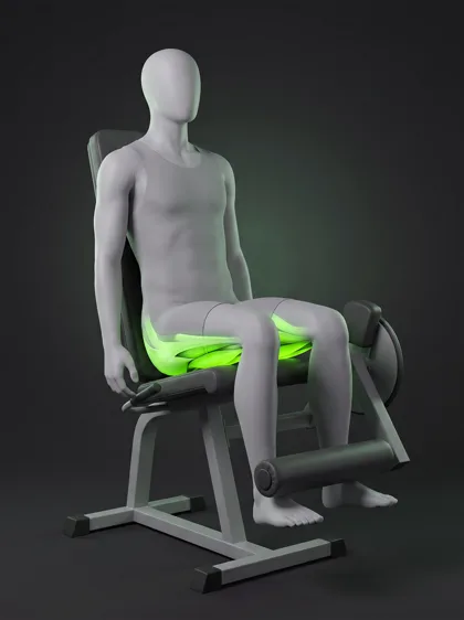 Seated Leg Curl