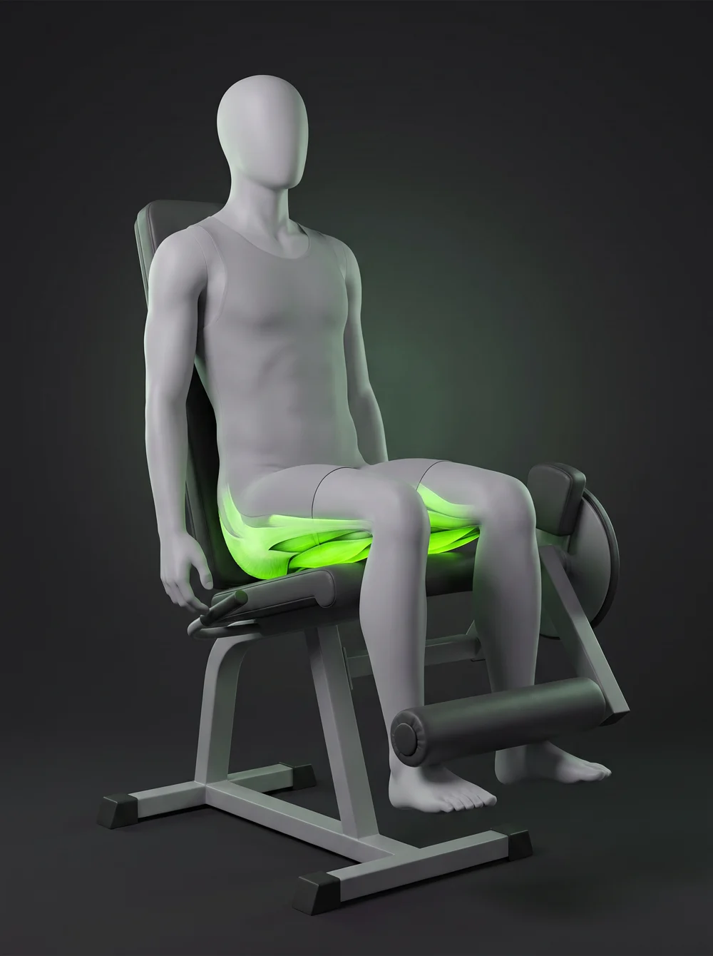 Seated Leg Curl