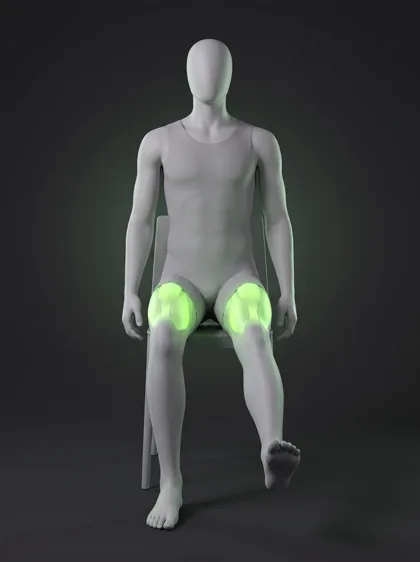 Seated Leg Extension (chair)