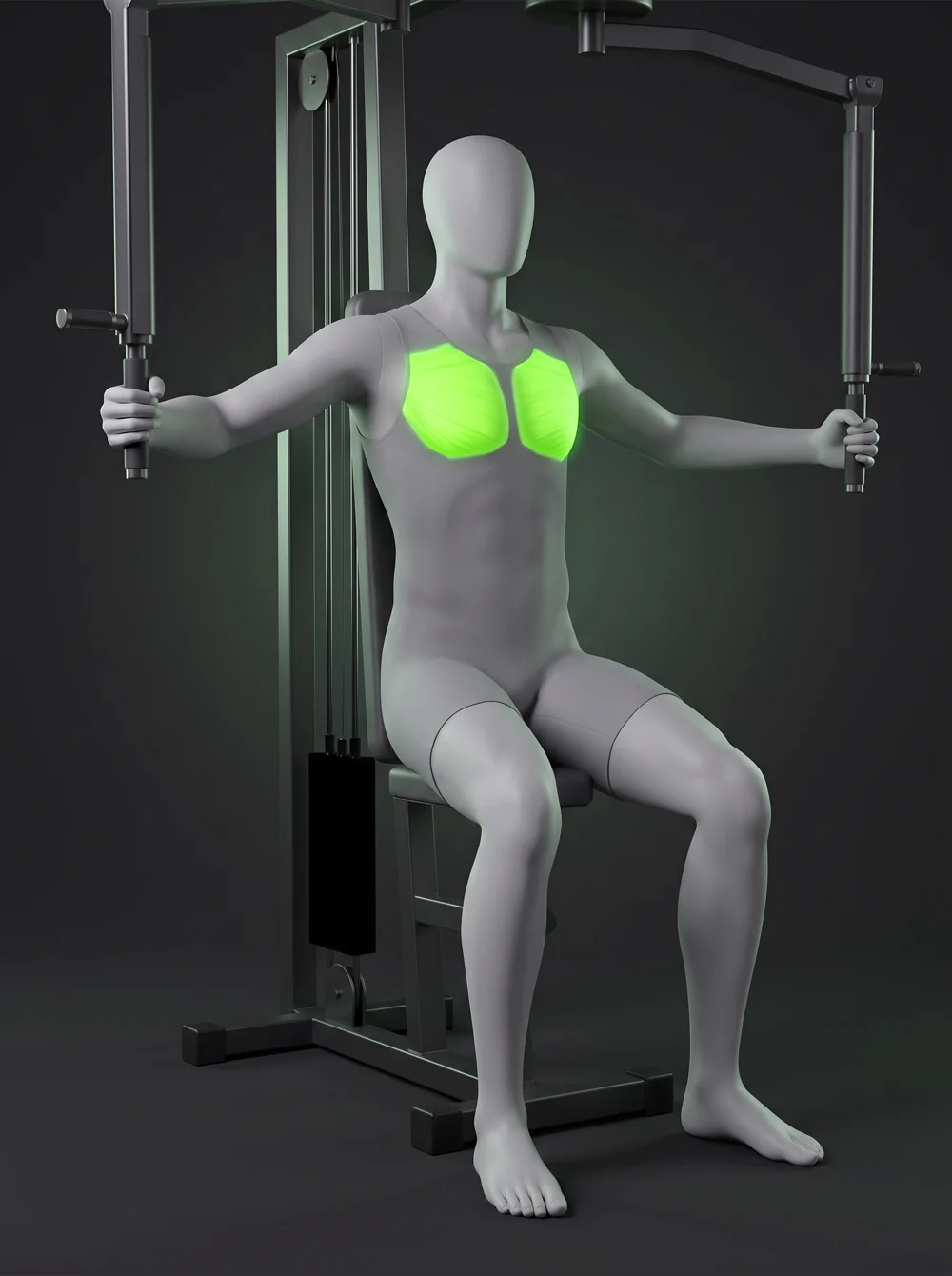 Seated Machine Fly