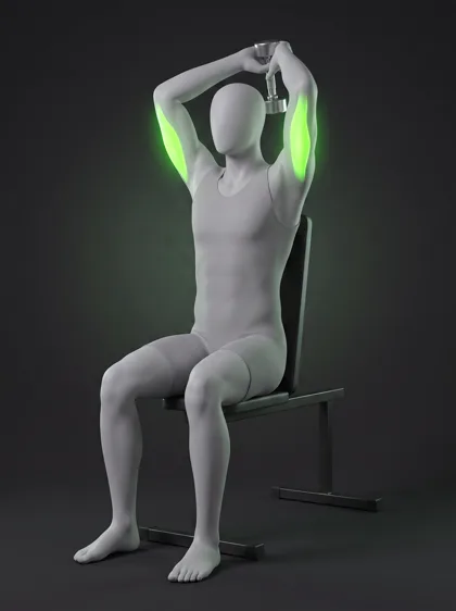 Seated Overhead Dumbbell Triceps Extension