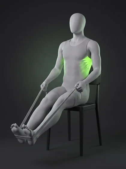 Seated Resistance Band Row