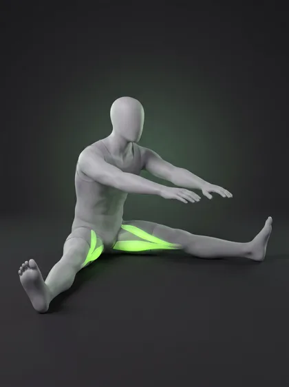 Seated Straddle Stretch